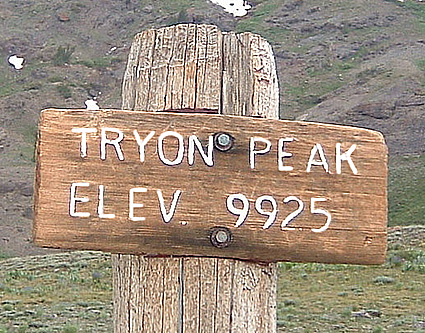 tyron peak